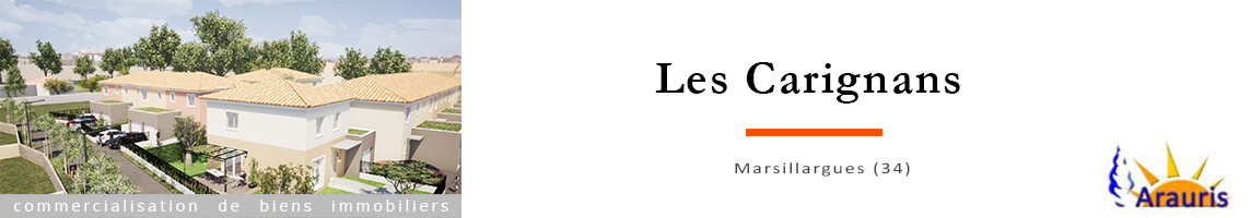 Arauris – 'Les Carignans'
